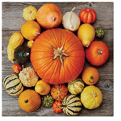 3-Ply Halloween Theme Decoupage Serviettes Tissue Paper Napkins Serviettes 33cm x 33cm - Pack of 20 (Pumpkin Composition)