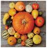 3-Ply Halloween Theme Decoupage Serviettes Tissue Paper Napkins Serviettes 33cm x 33cm - Pack of 20 (Pumpkin Composition) view 1