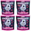 Space Food Freeze-Dried (Strawberry Ice Cream 4 Pack) view 1