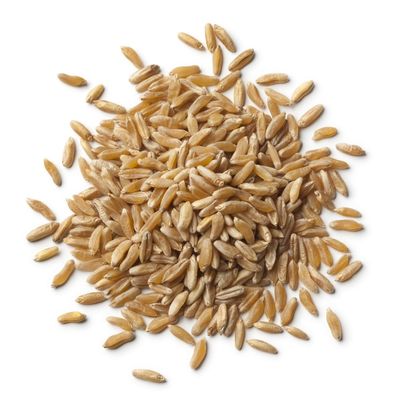 Organic Kamut Grain 1kg (BWFO)