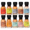 Smokehouse by Thoughtfully, Gourmet Grilling Spice Set in Mini Glass Bottles, Vegan and Vegetarian, Grill Seasoning Flavors Include Caribbean, Jamaican Jerk, Jalapeno, Montreal and More, Pack of 10 view 3
