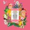 Double Dutch Pink Grapefruit Soda | Low Calorie Diet Soft Drink | 100% Natural Ingredients | Gluten Free, Vegan Friendly Premium Mixer Perfect For Gin, Vodka & Cocktails | 6 x 150ml Cans view 2