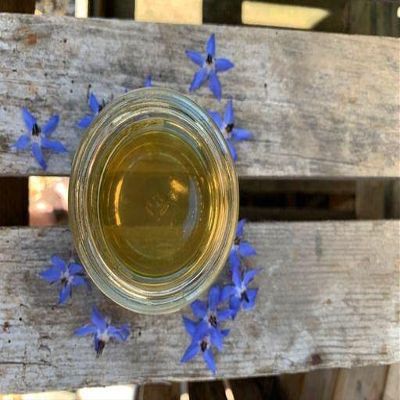 British Borage Honey -  Pure and Natural, British Honey/UK Honey (227g Glass jar)