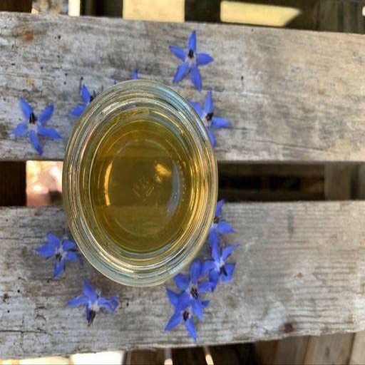 British Borage Honey -  Pure and Natural, British Honey/UK Honey (227g Glass jar)