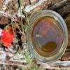 British Wild Countryside -  Great Taste Award Winning - Pure and Natural, British Honey/UK Honey (227g Glass jar) view 2