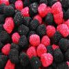Crunchy Small Blackberry and Raspberry Sweets - 1 KG bag - Blackberries and Raspberries - Bobbly Sweets view 2