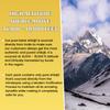 FOUZEE Pure Himalayan Mountains Shilajit - 82% + Fulvic Acid Authentic Hard Consistency, Natural Source of Fulvic Acid, Over 85 Trace Minerals, Includes Stainless Steel Spoon (30 Grams) view 4
