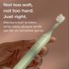SURI Recyclable Plant-Based, Electric Toothbrush Heads - Built-in Tongue Scraper, Long Lasting Replacement Heads | Compatible Only with SURI Sonic Electric Toothbrush - Winter Fern, Pack of 3 view 2