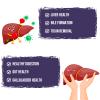 TUDCA 500 mg, Tauroursodeoxycholic Acid with Humic and Fulvic Acids, Beet Root and Additional Botanicals, Bile Salt Supplement for Liver and Digestive Support, 60 Capsules view 3