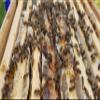 Black Seed Honey/Raw UK Honey/Organic Nigella Infused in British Honey  Pure RAW Honey In Glass Jar (227g) view 2