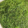 cn herb 15g Dianthus Sinensis, Bamboo Leaf Tea, Fresh Tea Dianthus tea view 3