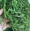 cn herb 15g Dianthus Sinensis, Bamboo Leaf Tea, Fresh Tea Dianthus tea view 4