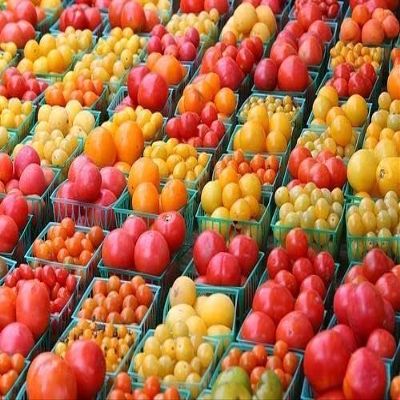 100 Mix DI SEMI POMODORO GIALLI, E ROSSI A GRAPPOLO
