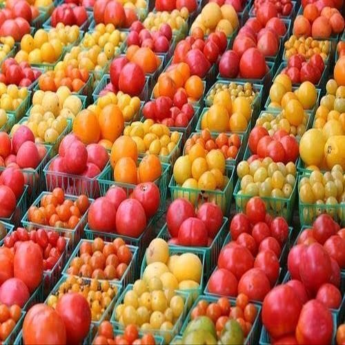 100 Mix DI SEMI POMODORO GIALLI, E ROSSI A GRAPPOLO