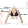 RAFCAR Artificial Fake Boobs - Silicone Breast Forms Half Body High Collar Fake Breasts - Prosthesis Silicone False Boobs with Arm - for Crossdressing Transvestite Cosplay Shemale view 3