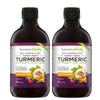 Bio-Fermented Turmeric with Bio Cultures and Papaya Enzymes - Fermented High Strength Liquid Turmeric Supplement with Black Pepper & Ginger Equivalent to 2 Turmeric Capsules - 2 Pack view 1