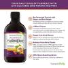 Bio-Fermented Turmeric with Bio Cultures and Papaya Enzymes - Fermented High Strength Liquid Turmeric Supplement with Black Pepper & Ginger Equivalent to 2 Turmeric Capsules - 2 Pack view 2