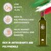 L'Olio dei Papi 100% Italian Extra Virgin Olive Oil cold extracted produced from the centuries-old olive groves of the ancient lands of the Popes 1 LT (bottle) view 4