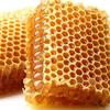 Raw Honeycomb Of Wildflowers In Wooden Frame - Directly From Bee Hive - 300g view 3