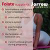 Jarrow Formulas Methyl Folate (5-MTHF), 400mcg, Minerals Supplement, 60 Vegan Capsules, Gluten Free, Vegetarian, Soy Free, Non-GMO, Vitamin B9, Folic Acid view 4