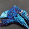 WGPHD Health & Household Natural crystal tourmaline Electroplating Blue Peacock Tail Feather Decorative Landscape Bottle (Size : 20-30g) view 1