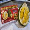 H&P Musang King Frozen Durian 400g in Vacuum Pack view 2