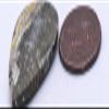HQRP 32mm 16.5ct Silverish Black Yellow Bumble Bee Jasper Cabochon Polished Natural Layered Gemstone Crystal Mineral Specimen Cab - Indonesia view 2