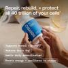 BodyBio PC - Phosphatidylcholine for Brain, Cellular & Cognitive Health view 3