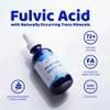 Ultra Lyte Fulvic Acid  250MG Fulvic Acid Food Supplement  Concentrated Fulvic Minerals  Non-GMO and Gluten-Free  Liquid Fulvic Acid Supplement for Digestion Support, Immunity Boost  59ml view 3