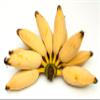 Burro banana X20 - seeded banana - Exotic fruit - Fresh from the Caribbean view 2
