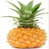 Baby pineapple X10 - Exotic fruit - Fresh from Mauritius - Sourced by My Exotic Fruit view 1