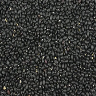 Gorilla Food Co. Black Turtle Beans - 5kg (Bulk Pack) | Dried | High Protein | High Fibre