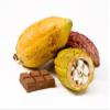 Cacao fruit - cocoa pods - Exotic fruit - Fresh from the Caribbean - Sourced by My Exotic Fruit view 1