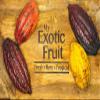 Cacao fruit - cocoa pods - Exotic fruit - Fresh from the Caribbean - Sourced by My Exotic Fruit view 2