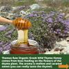 Thomas Certified Organic Raw Greek Wild THYME HONEY, 490g - Antibacterial, Pure Wilderness HONEY, Unpasteurised, Single Origin - The Raw Honey Shop view 3