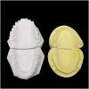 2 PCS Plaster Tooth Model Dental Model - High Simulated Plaster Tooth Model - Simulated Oral Tooth Teeth Mould for Dental Teaching and Studying view 3