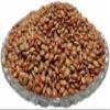 CROW Organic Kulthi Dal/Horse Gram/Gahat/Macrotyloma Uniflorum (400 Gram) view 4