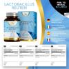 LN L Reuteri | 90 Lactobacillus Reuteri Probiotic Capsules - 5 Billion CFU L-Reuteri per Serving | High Strength L-Reuteri Supplement | Non-GMO, Gluten & Allergen Free | Made in The UK view 2