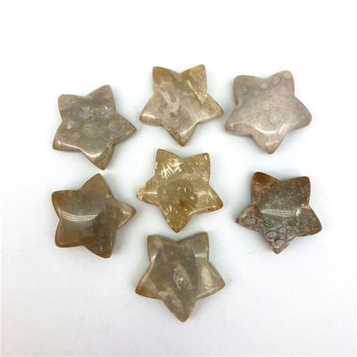 Sudemota Natural crystal rough Beautiful 1 Piece Natural Coral Ammonite Star Crystal Healing Stone (Size : 1)