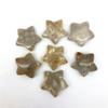 Sudemota Natural crystal rough Beautiful 1 Piece Natural Coral Ammonite Star Crystal Healing Stone (Size : 1) view 1