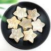 Sudemota Natural crystal rough Beautiful 1 Piece Natural Coral Ammonite Star Crystal Healing Stone (Size : 1) view 2