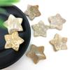 Sudemota Natural crystal rough Beautiful 1 Piece Natural Coral Ammonite Star Crystal Healing Stone (Size : 1) view 3