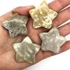 Sudemota Natural crystal rough Beautiful 1 Piece Natural Coral Ammonite Star Crystal Healing Stone (Size : 1) view 4