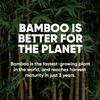 Save Trees Bamboo Facial Tissues - 4 Boxes of Eco-Friendly, 3-Ply Hypoallergenic Tissues, 90 Sheets per Box, FSC Certified, Plastic-Free Packaging, Soft & Gentle for Home Use view 4