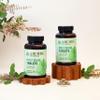 Arumba Ayurveda Tulsi (Holy Basil) Tablets 240 nos, Ocimum Sanctum - 500 mg per Tablet, Made from Pure Tulsi Leaf Powder view 2