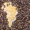 KV&C - Premium Quality | 100% Arabica Brazilian Coffee Beans Medium | Strong - Dark Roast | 1KG Bag (6) view 3