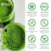 MatchaTherapy 30+ | ORGANIC Matcha Tea Powder | 60g | At least 30mg/g tested EGCG Catechin Content | Supports Immune System & Energy Levels | Ceremonial Grade | Green Tea from Japan view 4