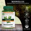 Pure Nutrition Boswellia Serrata 15:1 Extract 600mg | 120 Cap | Min 65% Boswellic Acids | Each Serving Offer 600mg 15:1 Extract Equivalent to 9000mg Raw Boswellia Powder | Non-GMO view 2