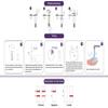 Gonorrhea Test (Male or Female) Pro GP Swab Tests STI STD Kit Test CE view 2