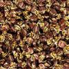 250g Pouch of Chocolate Caramel Toffees view 4